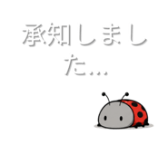 845882605