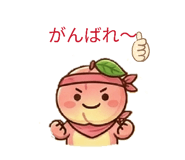 845882682