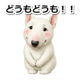845882731