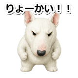 845882741