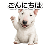 845882761