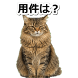845882780