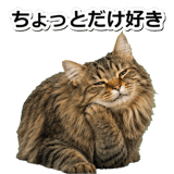 845882800