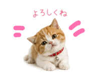 845882881