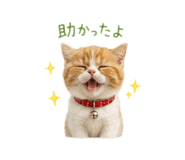 845882885