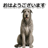 845882897