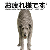 845882898