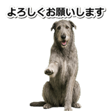 845882900