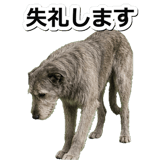 845882902