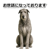 845882903
