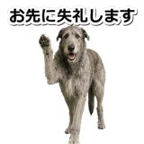 845882905