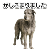 845882906