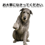 845882908