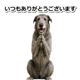 845882910
