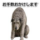 845882911