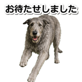 845882913