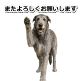 845882915