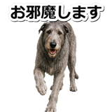 845882921