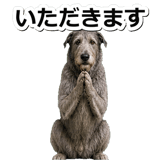 845882922