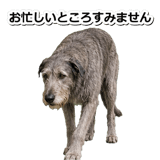 845882924
