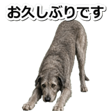 845882934