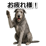 845882936