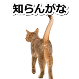845882940