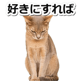 845882942