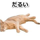 845882946