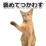845882950