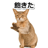 845882960