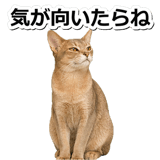 845882963