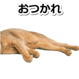 845882971