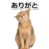845882974