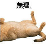 845882976