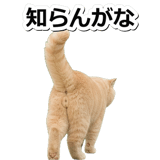 845882980