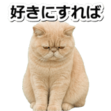 845882982