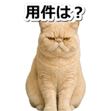 845882988