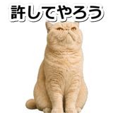 845882989