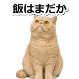 845882991