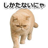 845882995