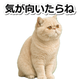 845883003