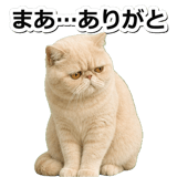 845883006