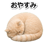 845883010