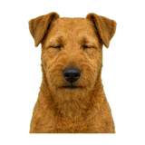 845883044