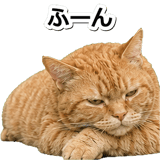 845883066