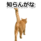 845883068