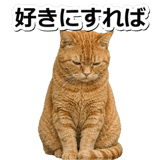 845883070