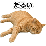 845883074