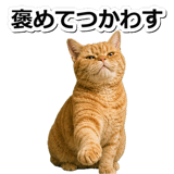 845883078